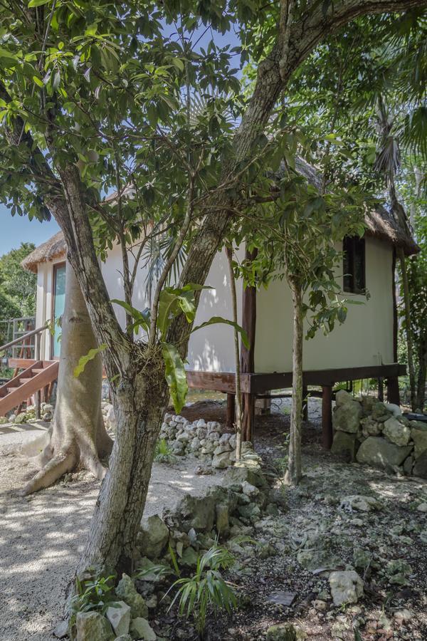 Zamna Tulum Ngoại thất bức ảnh